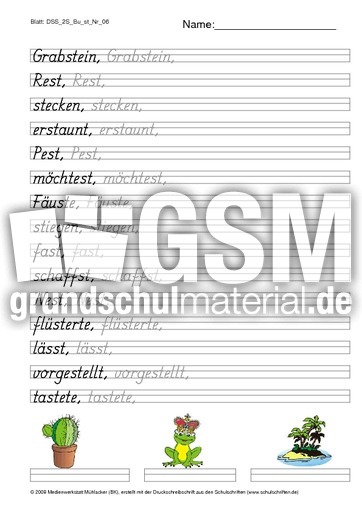 DSS_2S_Bu_st_Nr_06.pdf